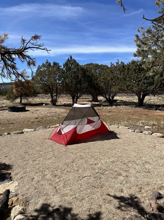 Group  Site 1