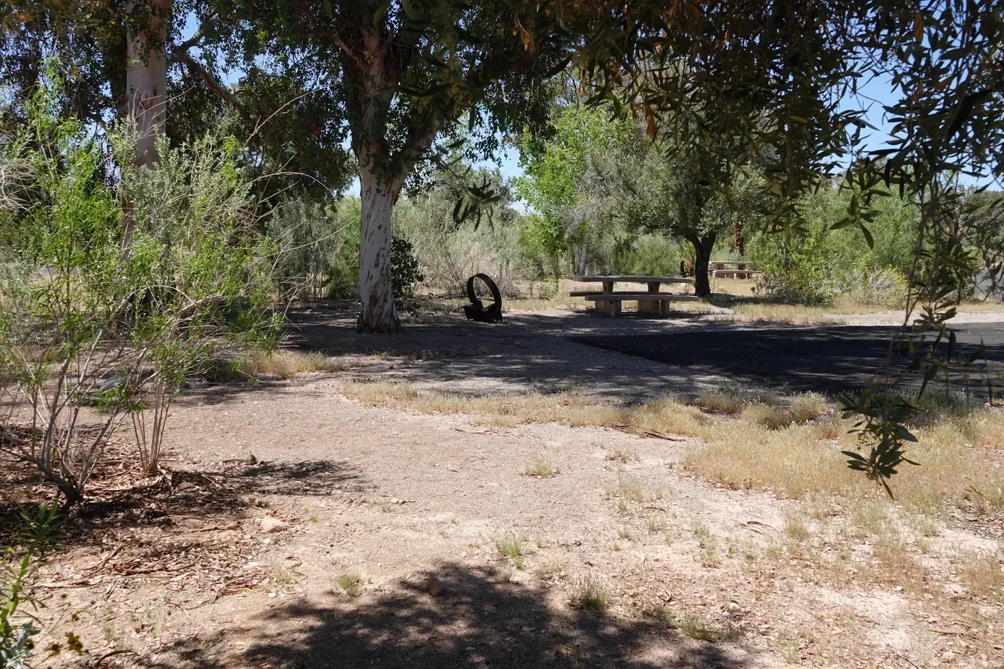 Site 41