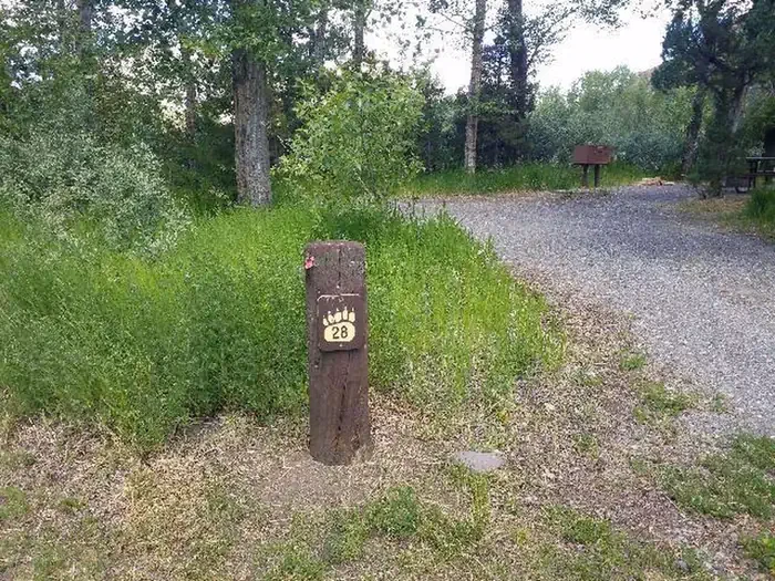 28