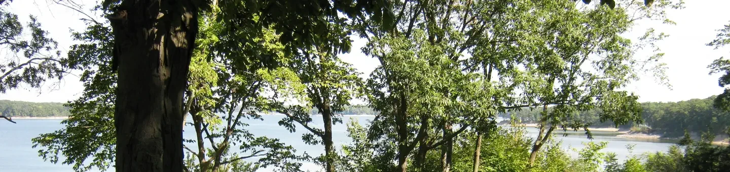 Dam East Picnic Shelter (Shelbyville)
