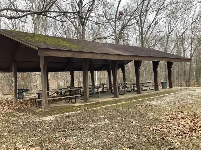 Shelter 1