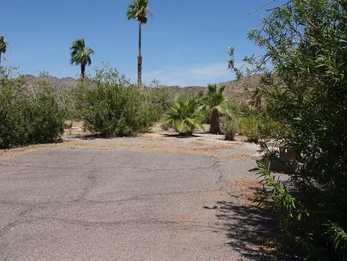 Site 19