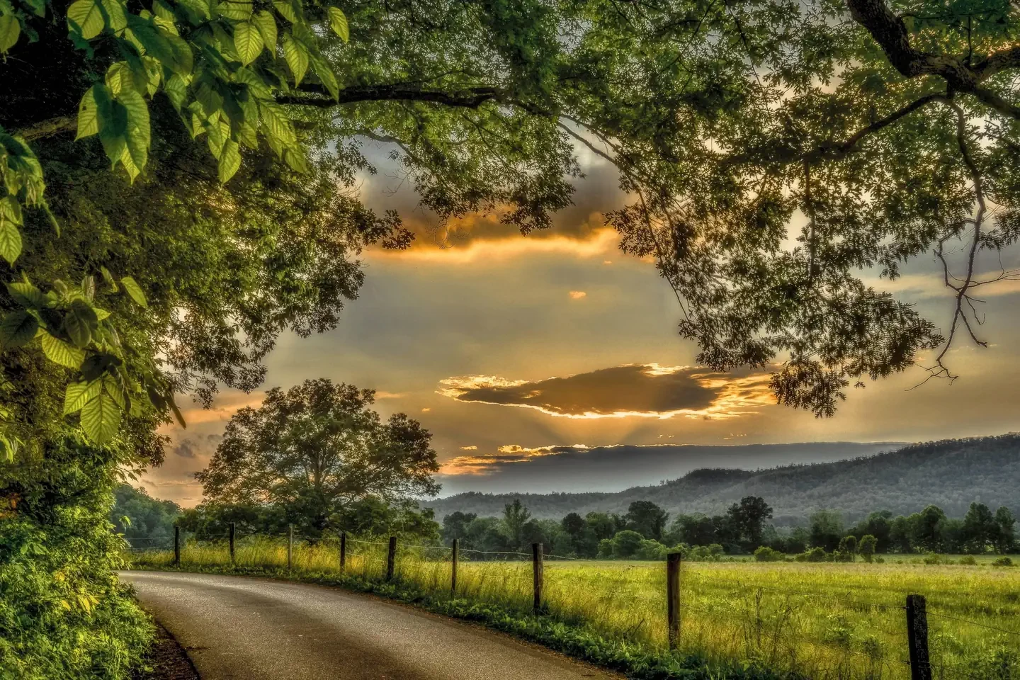 Cades Cove Campground