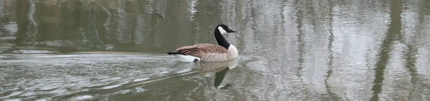 74