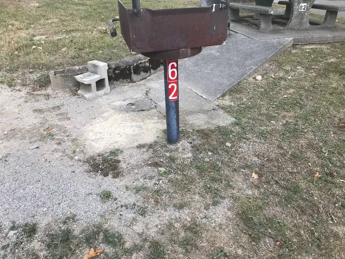 62