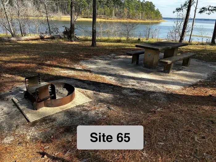 65
