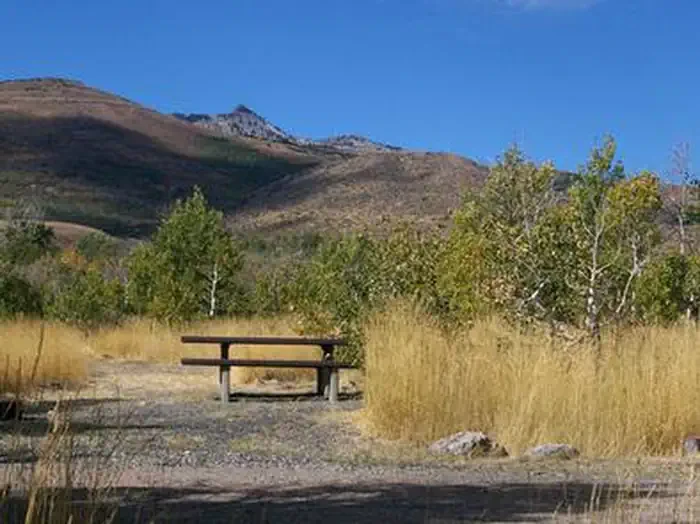 Angel Creek (Humboldt-Toiyabe National Forest, NV)