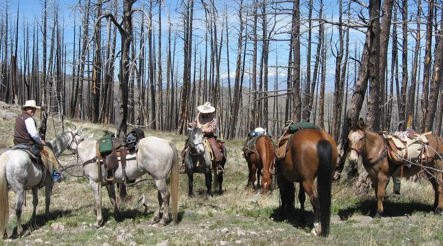 Deer Creek Cabin (mt)