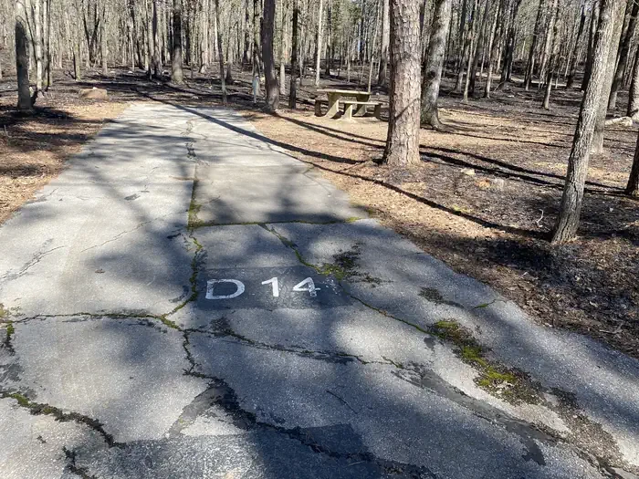 D14