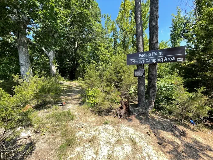 Pedigo Point - Site 14