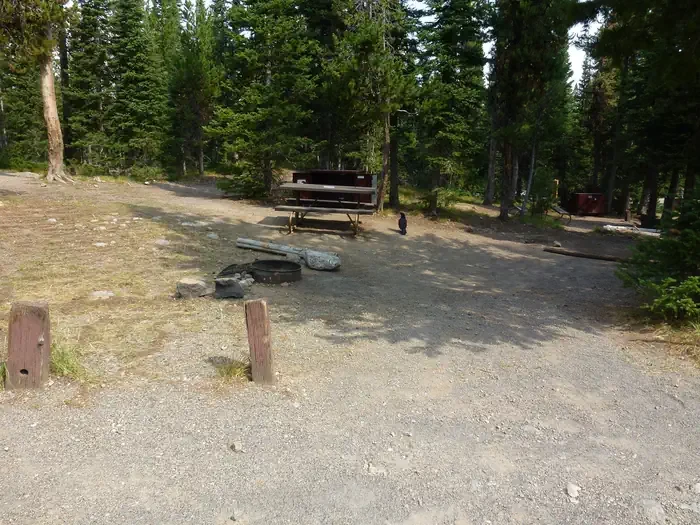 Lewis Lake site #35