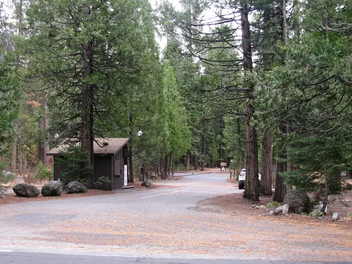Pinecrest