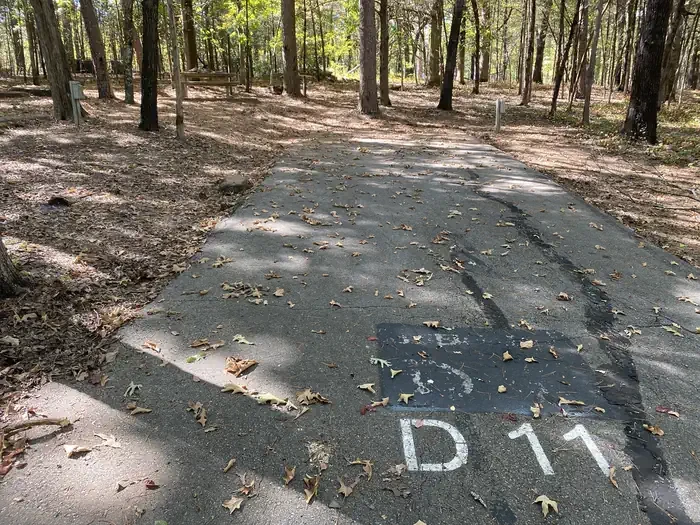 D11