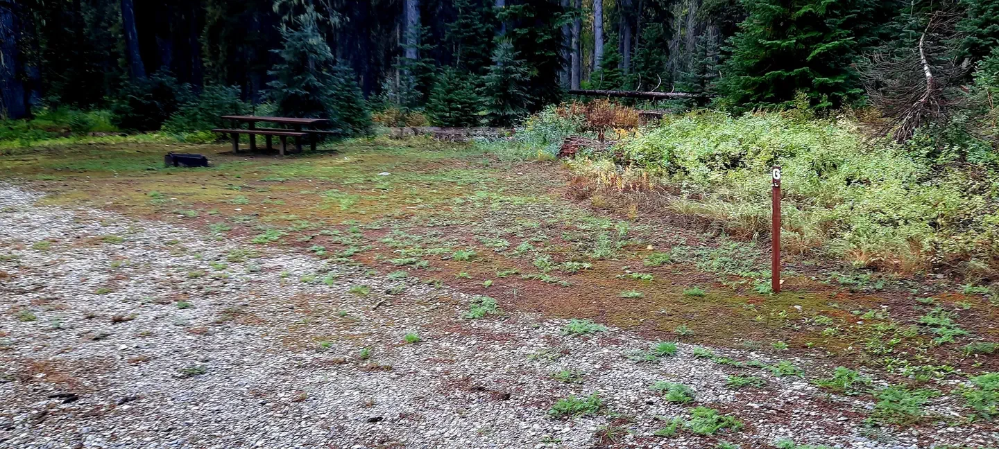 Phelps Creek Campground