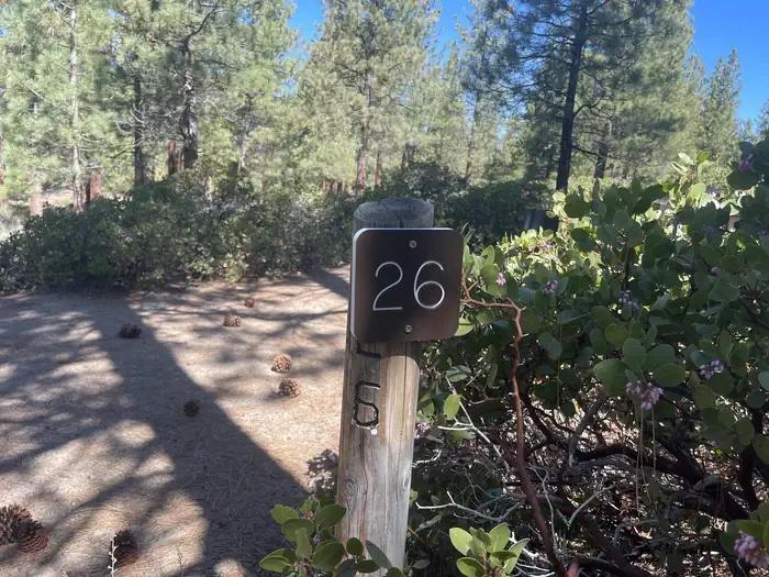 26