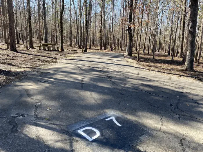 D07