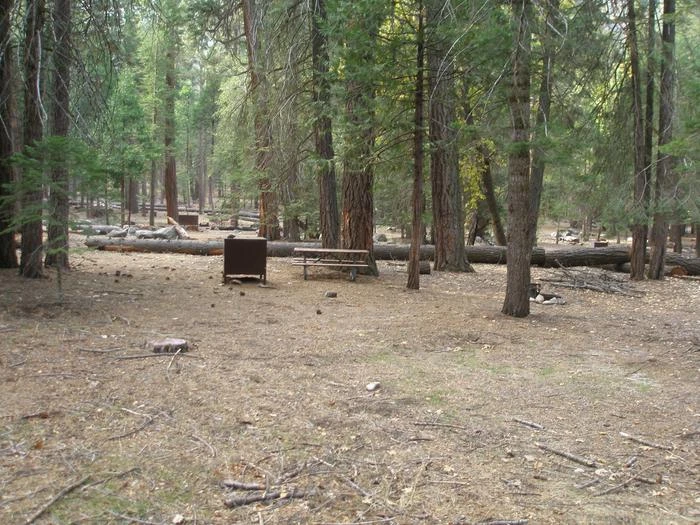 Site: 64