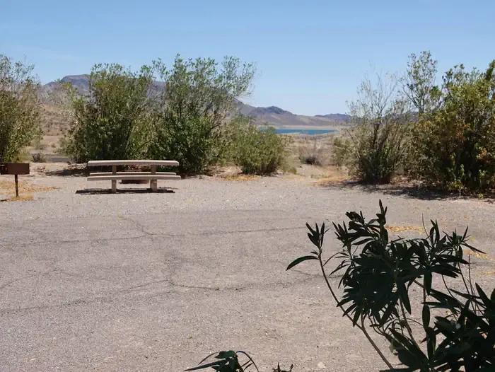 Site 29