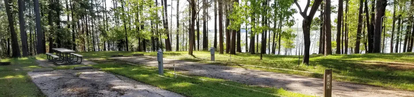 E201