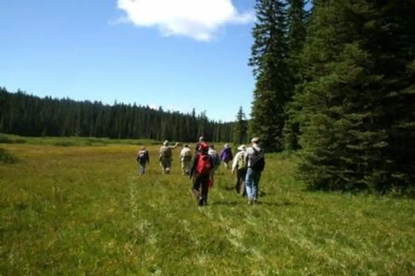 Sweet Home Nature and Heritage Tours