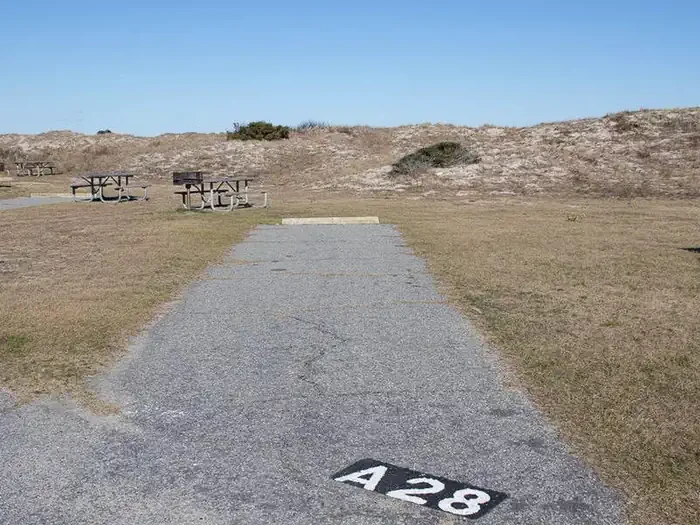 A028