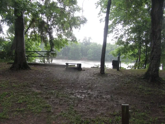 Site 7