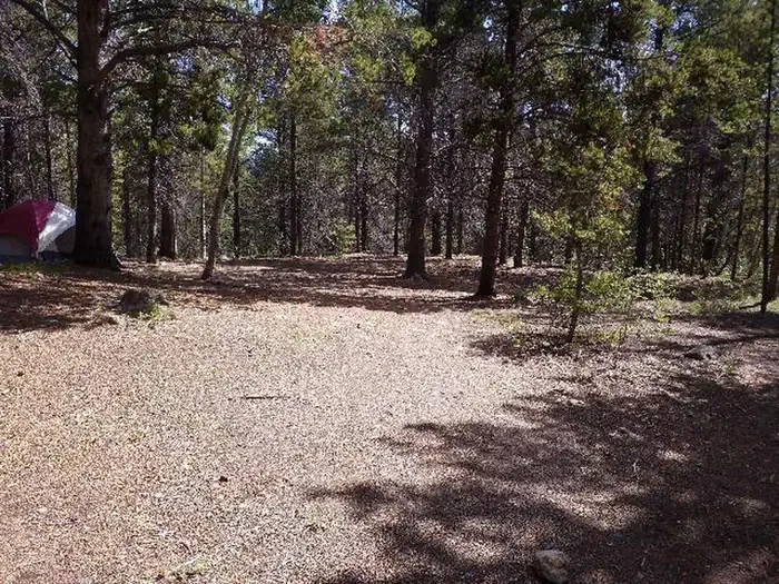GR2