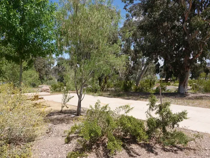 Site 28