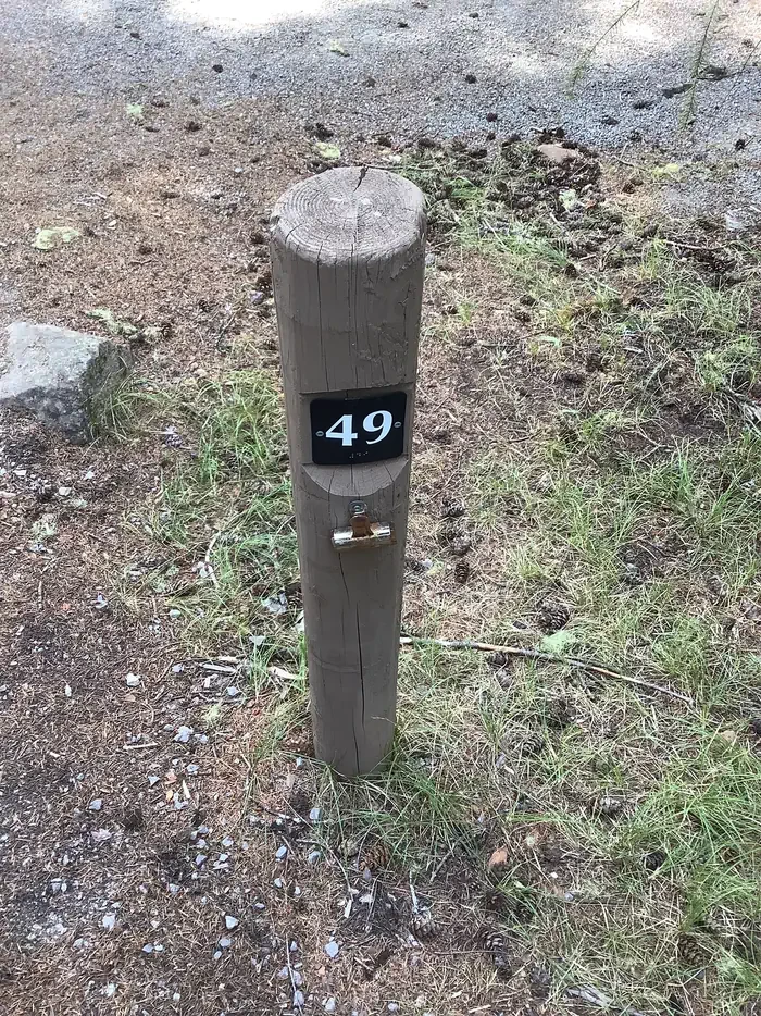 049