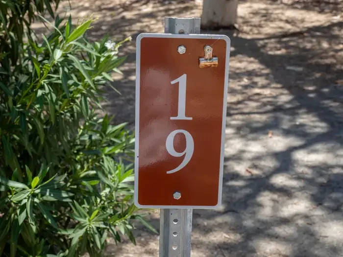 Site 19
