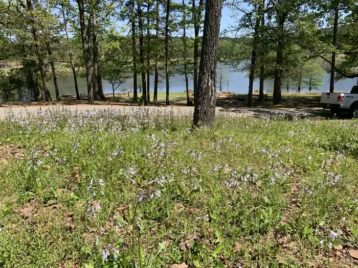 Buckhorn Creek