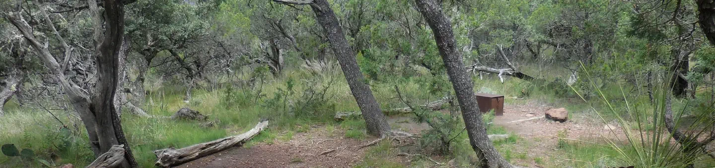 East Rim 5