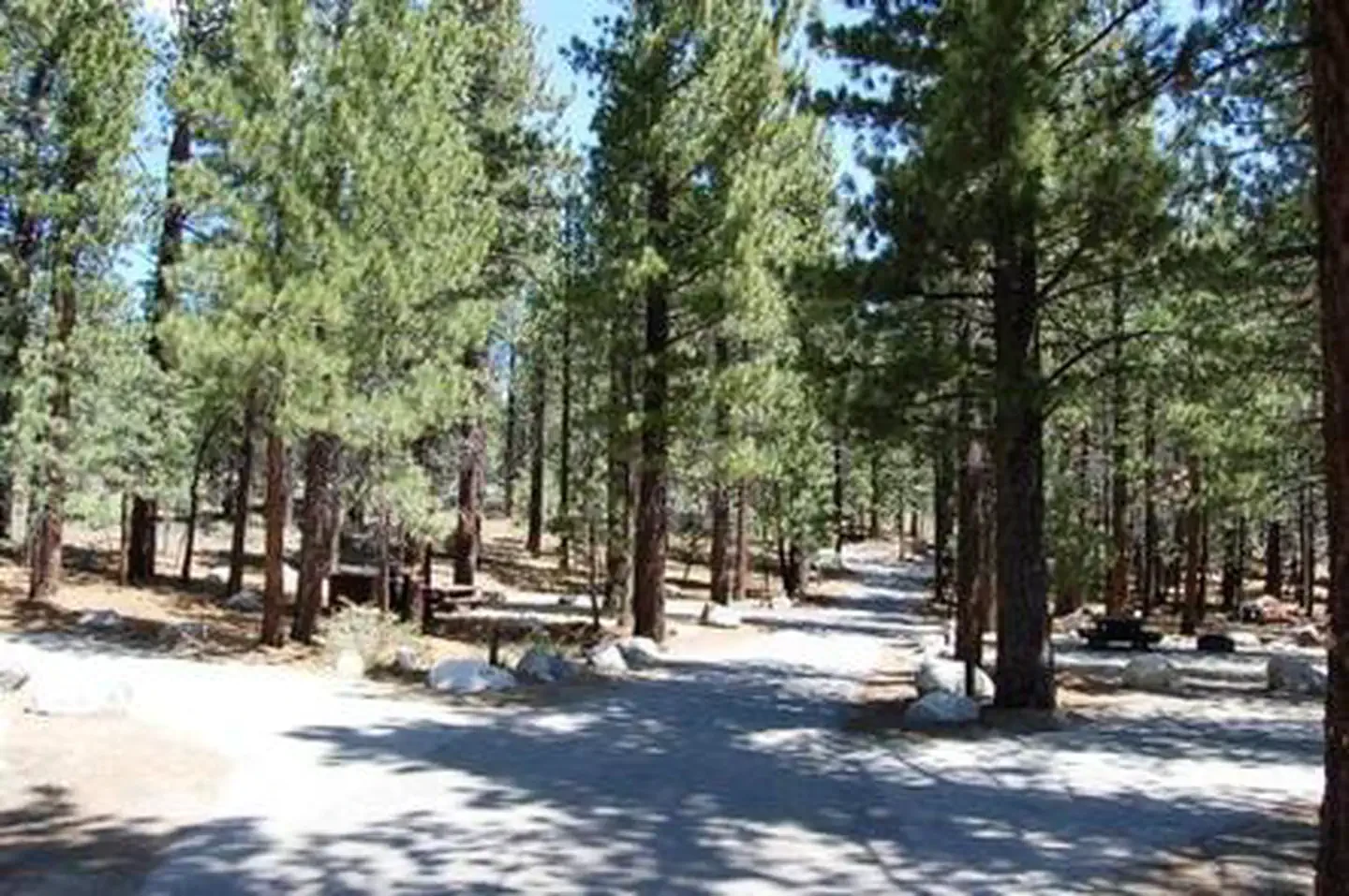 New Shady Rest Campground