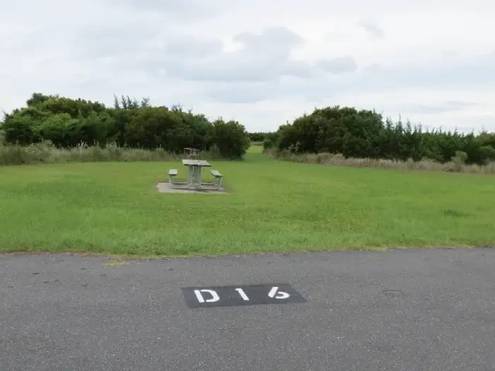D016