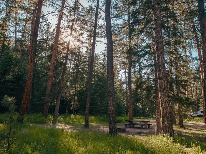 Boxelder Forks Campground