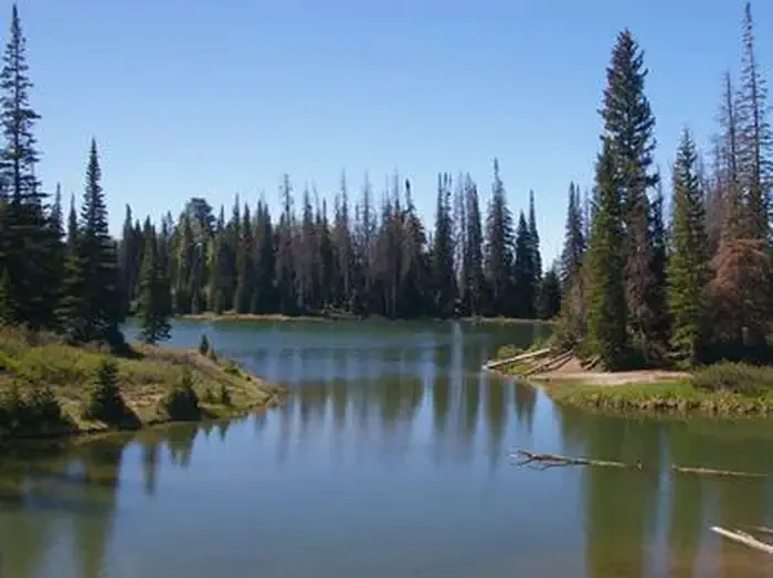 Potters Pond