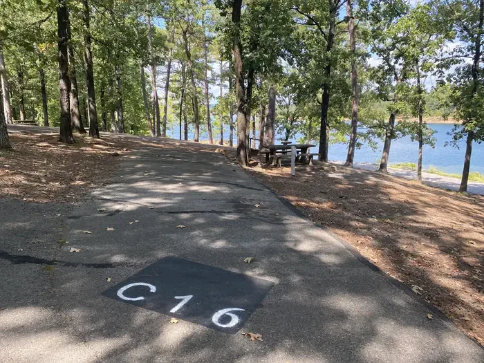 C16