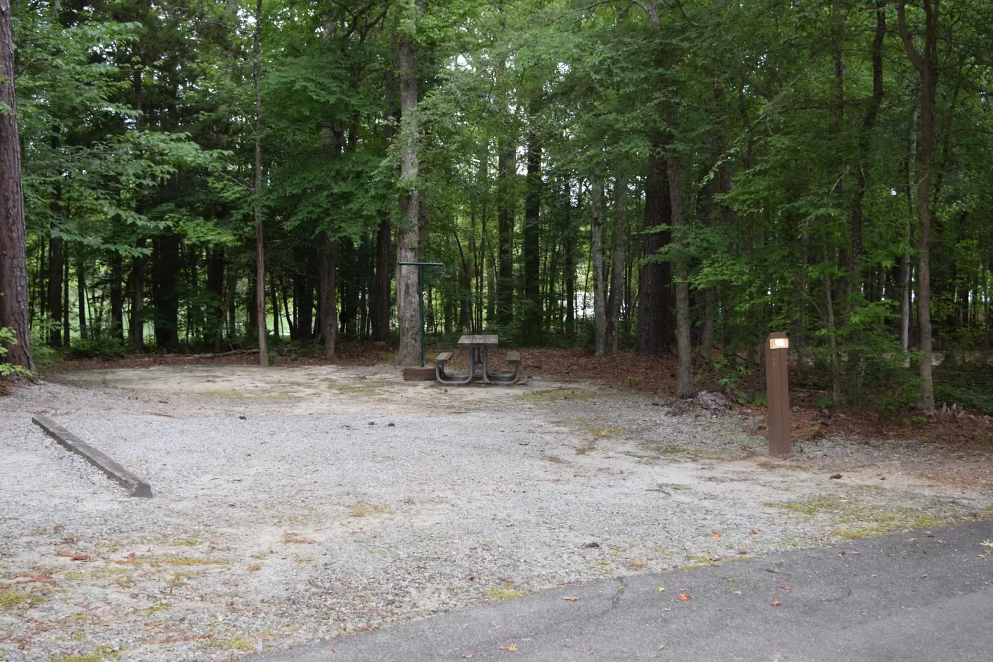 Piney Woods Group Camping Area