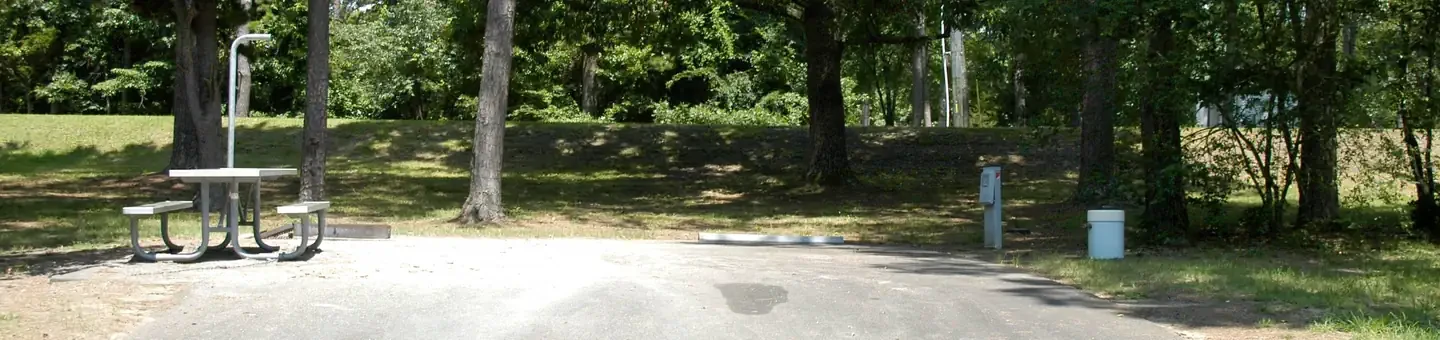 N08