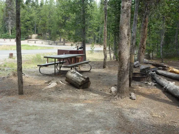 Lewis Lake site #17