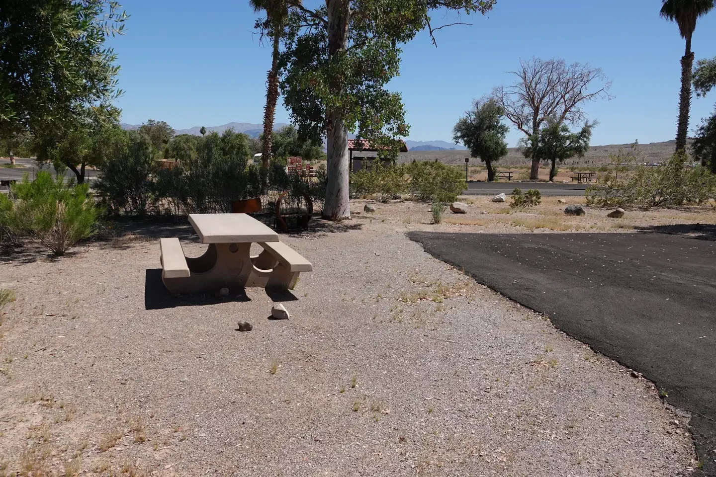 Site 83