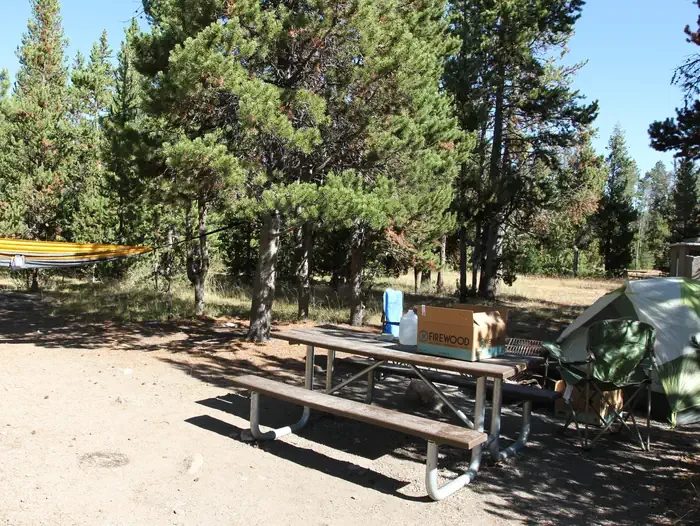 Indian Creek site #61