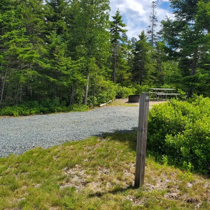 A18