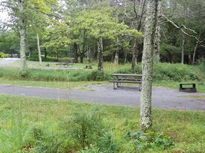 Big Meadows Campground - Shenandoah (VA)