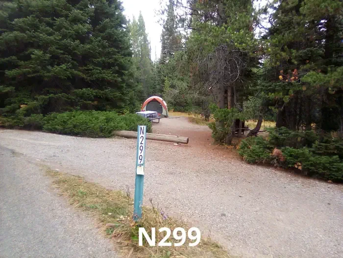 299