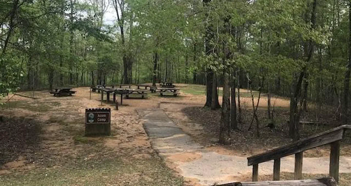 Acorn Camp