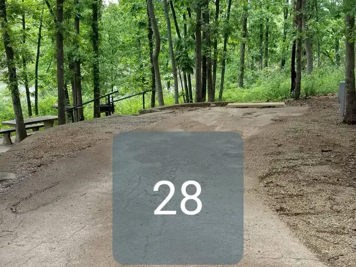 28