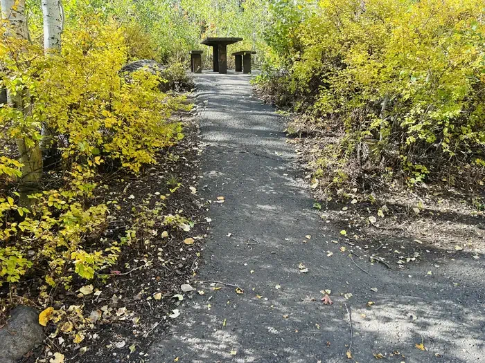 A09