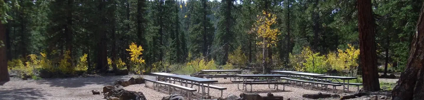 Round-up Group