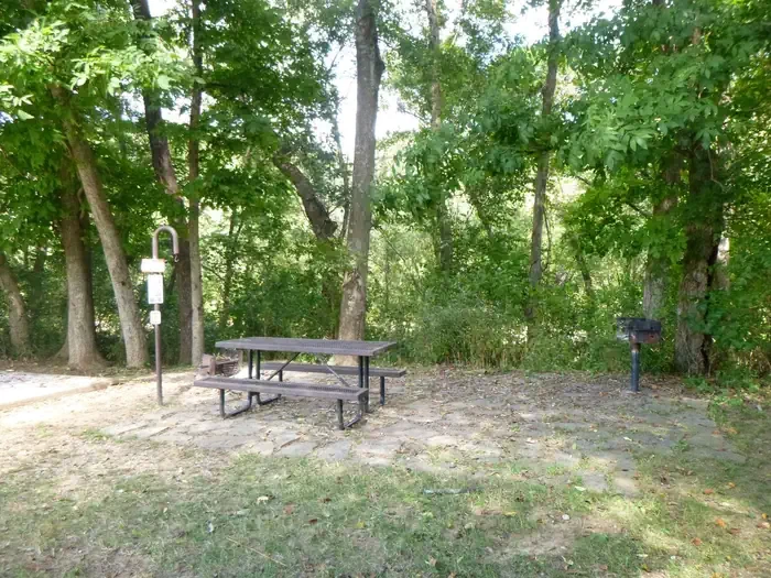Site# 12
